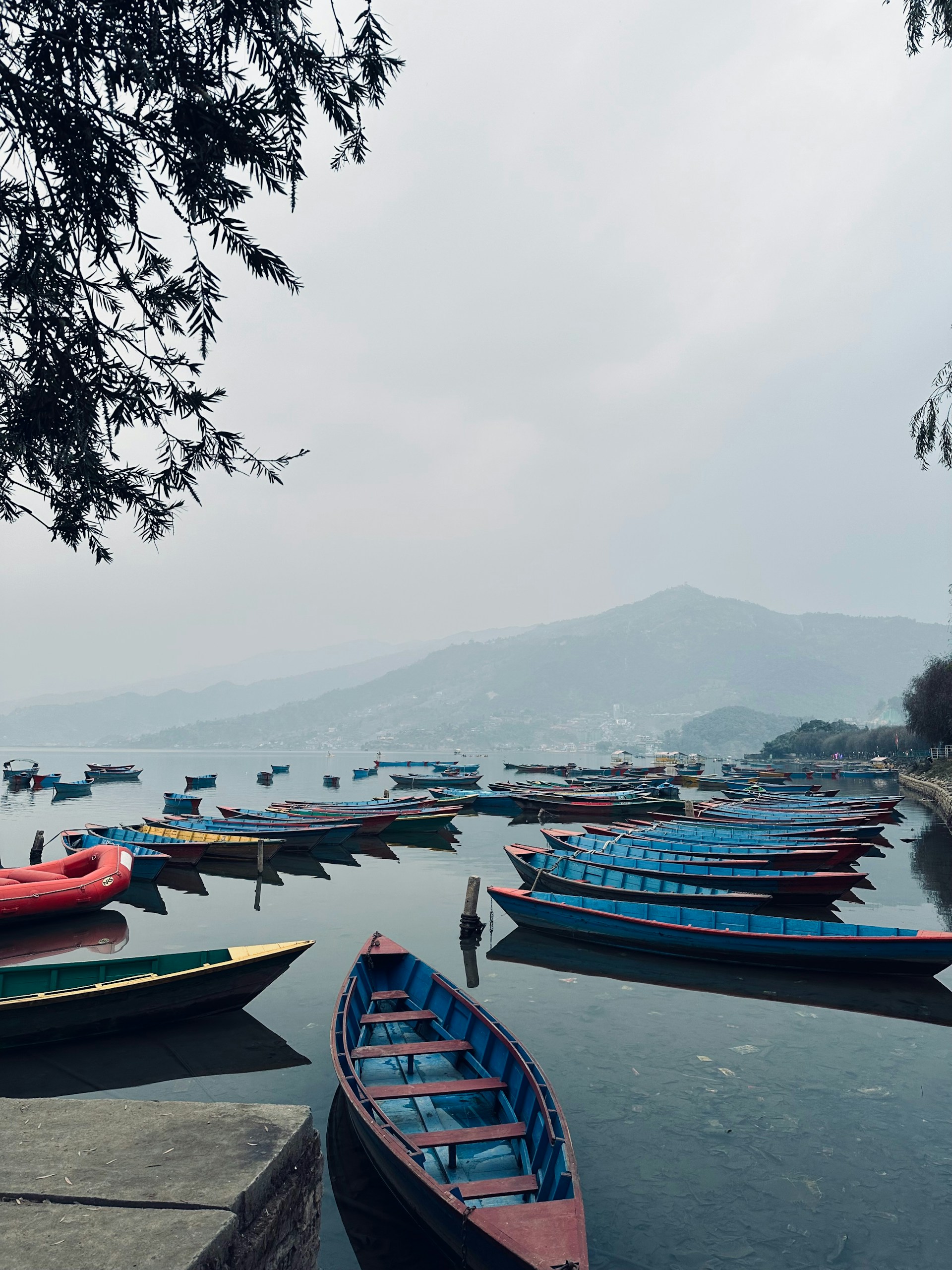 Home 2026 Pokhara and Phewa Lake